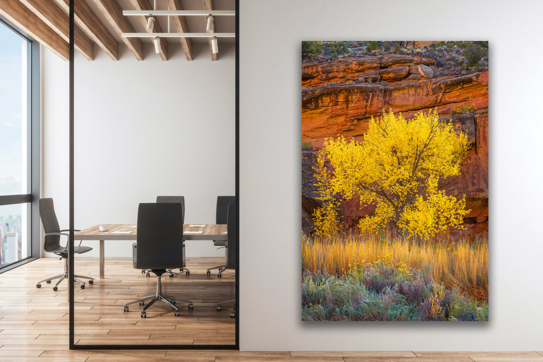 Utah Cottonwood tree against red rock as a fine art print on the wall