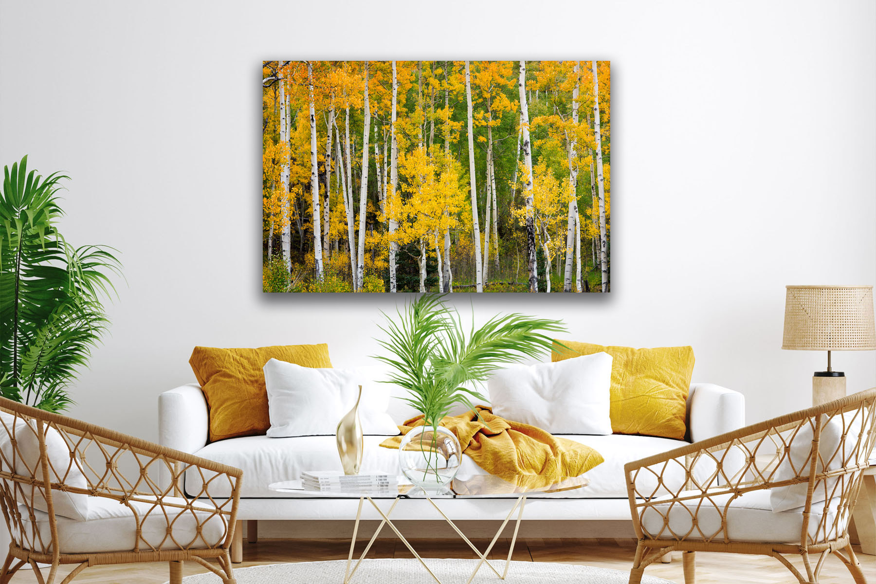 Aspens in Colorado in fall color as a fine art photo print on the wall