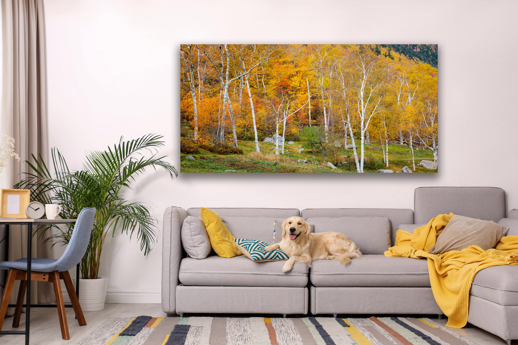 Crawford Notch New Hampshire fall color as a fine art photo print on the wall