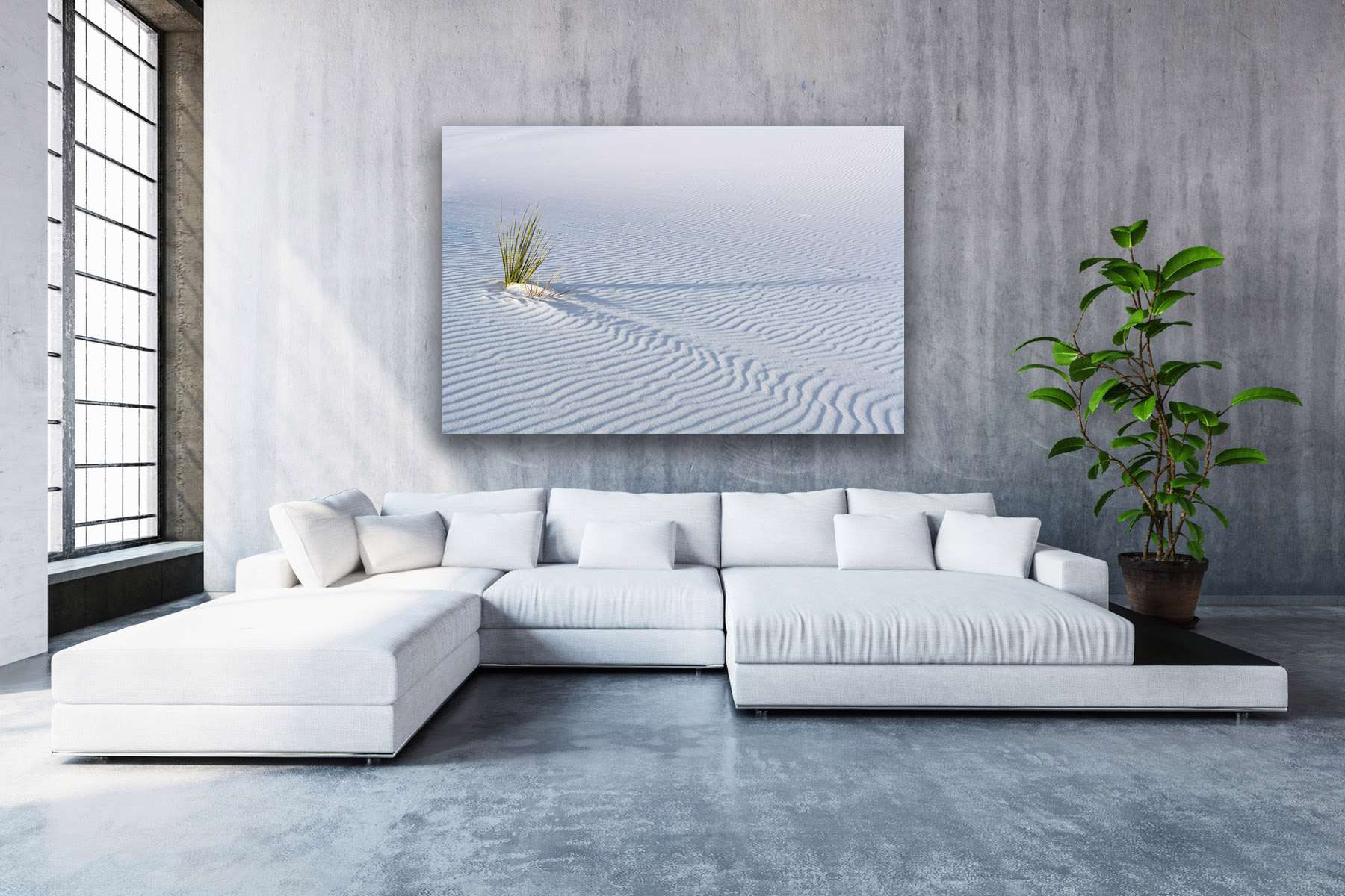 lone plant and ripples in the sand at White Sands as a fine art photo print on the wall