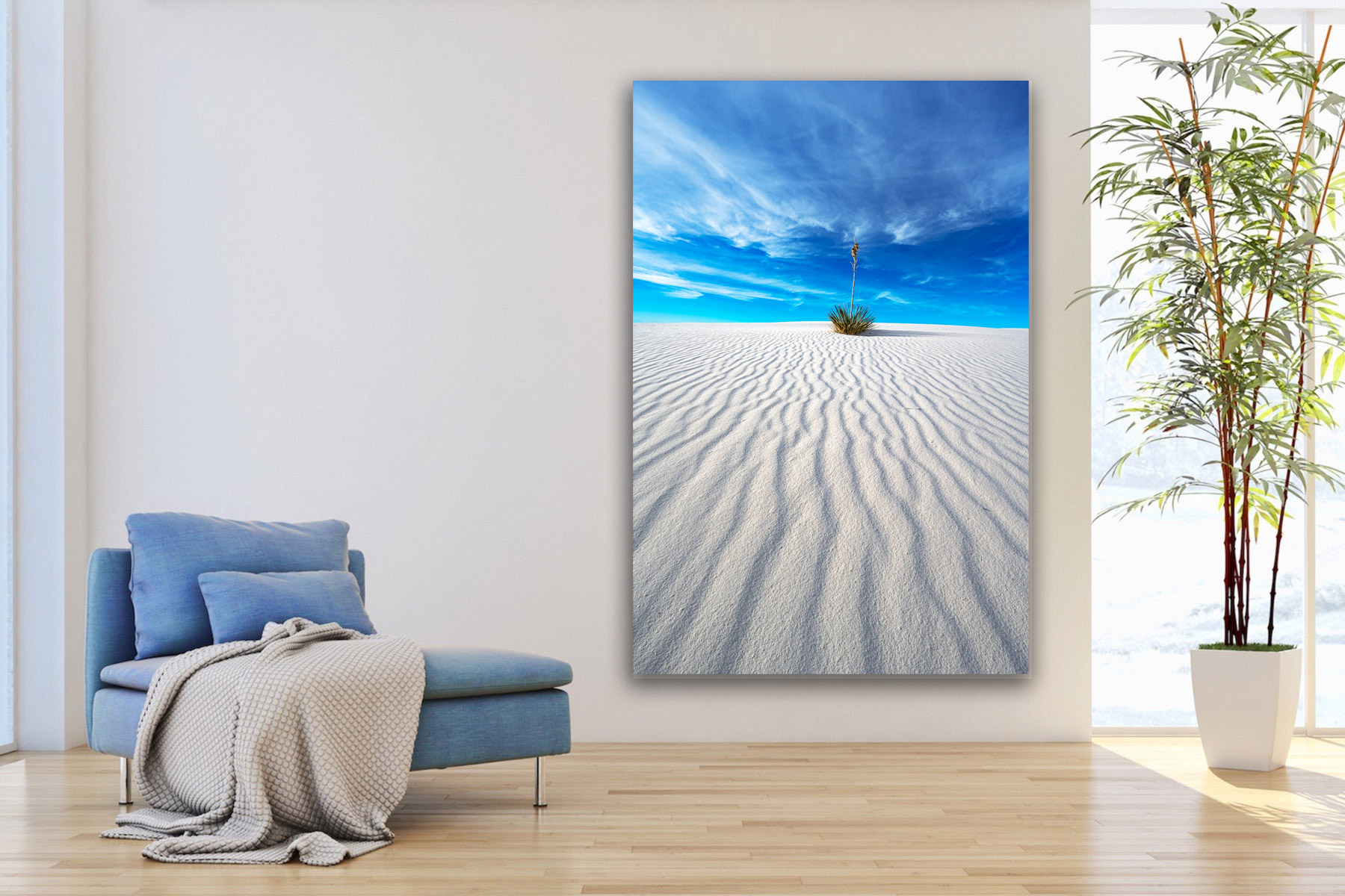 Lone Yucca plant high on a dune at White Sands as a fine art photo print on the wall