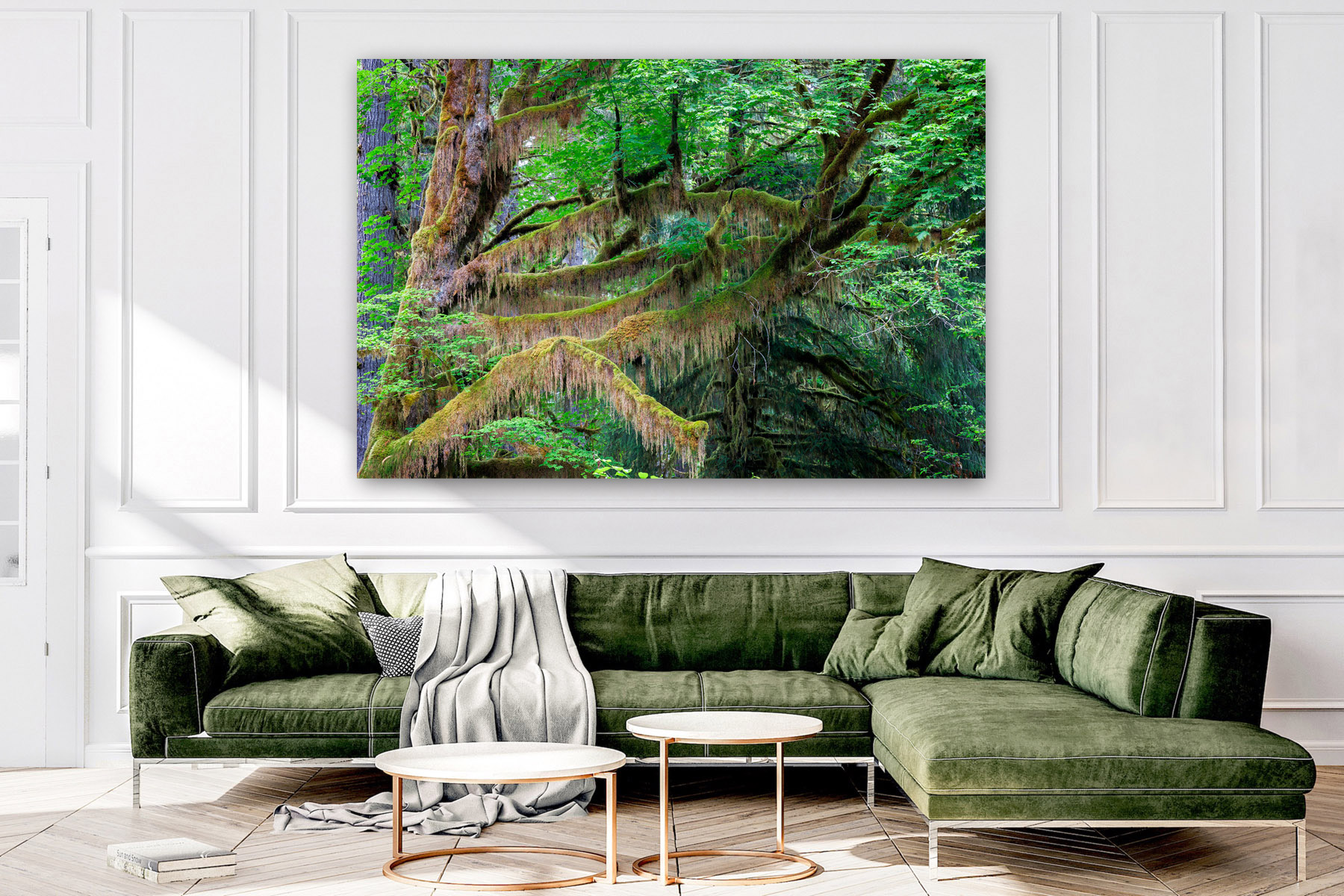 Hanging moss in Olympic National Park as a fine art photo print on a living room wall