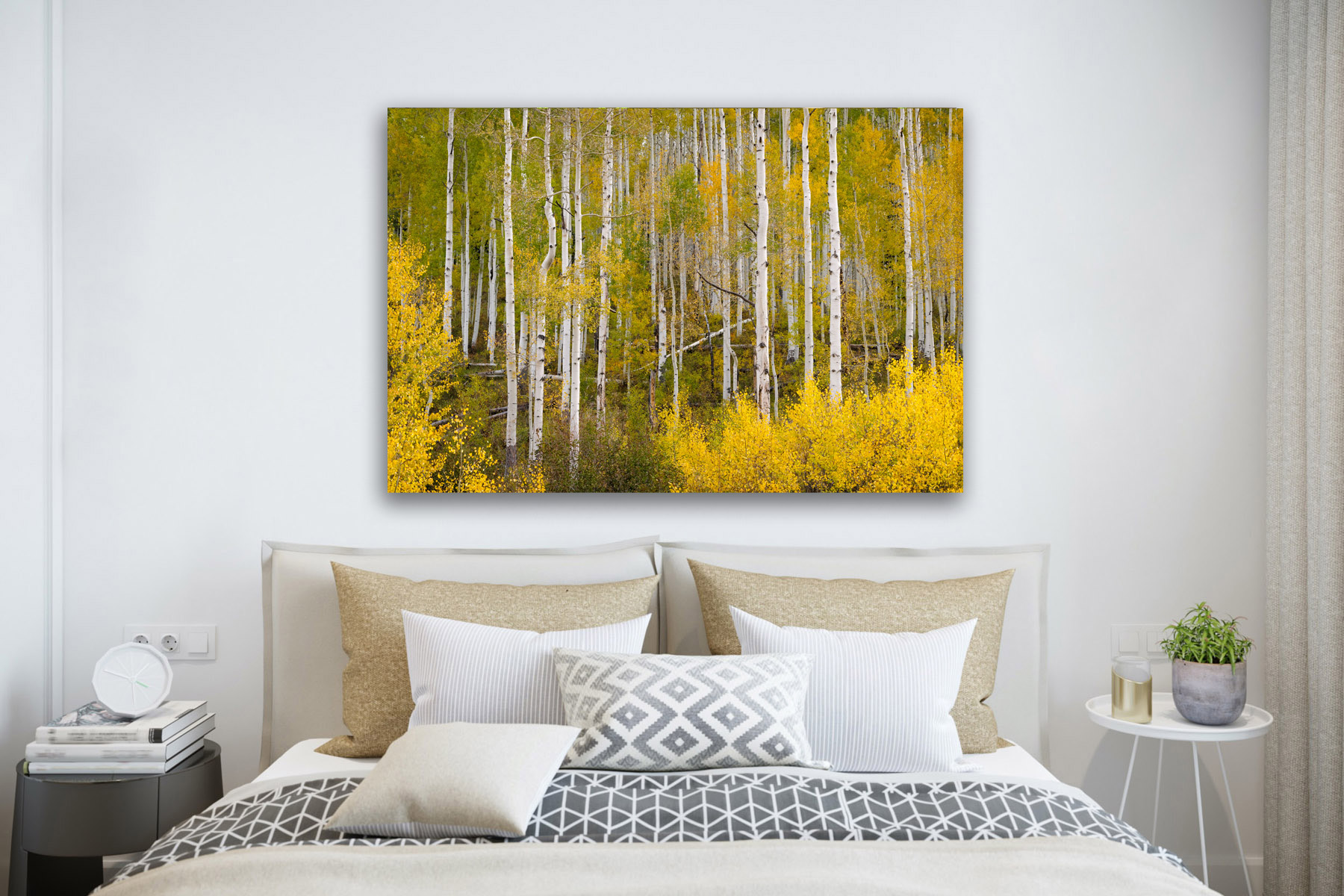 Colorado Aspen trees in fall color as a fine art photo print on a bedroom wall