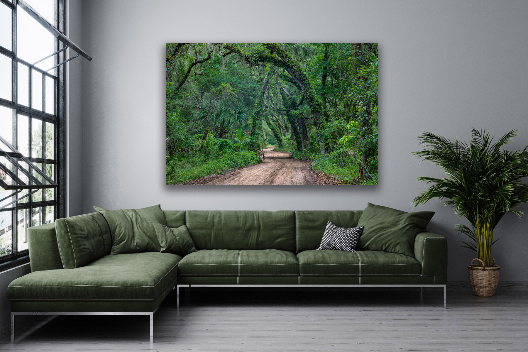Florida landscape scene of a winding dirt road in a forest as a print on a wall