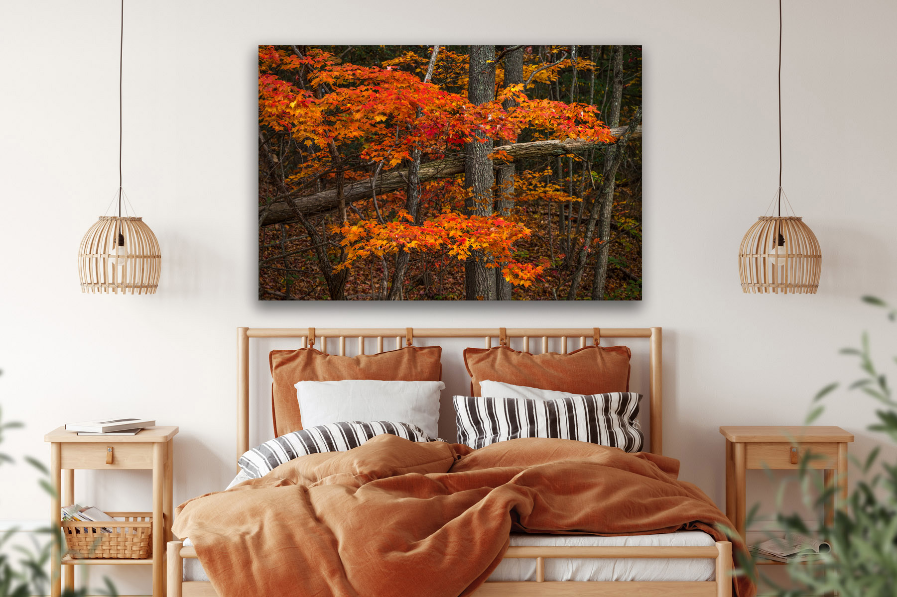 Fall color in the woods in the Smokies as a fine art photo print on a bedroom wall