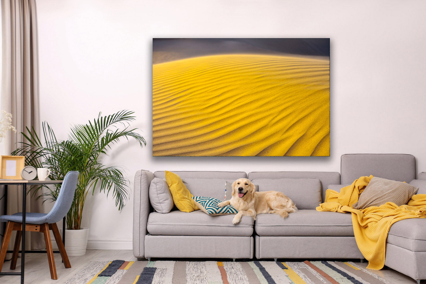 Golden sand dune ripples in Death Valley as a fine art photo print on a living room wall