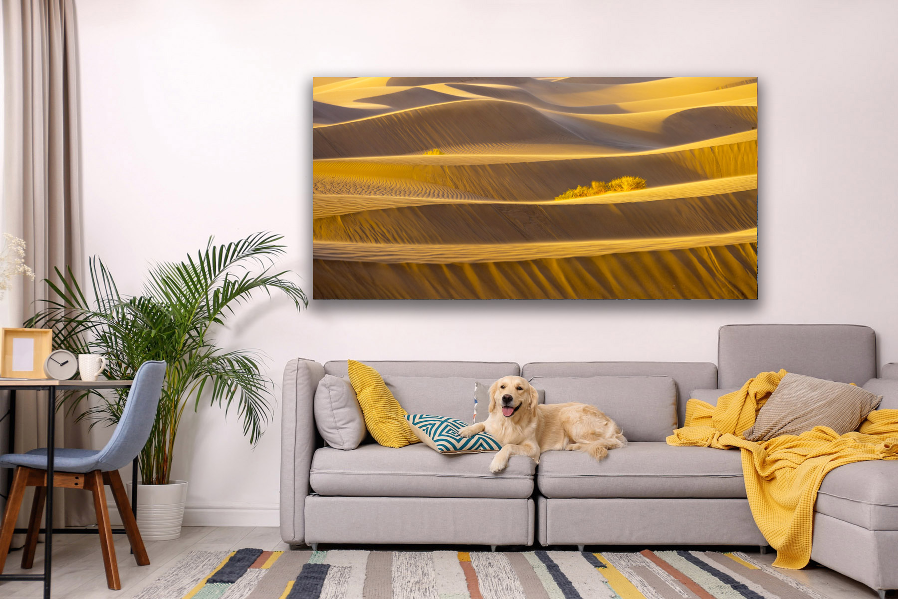 Golden layers of sand in Death Valley as a fine art photo print on the wall