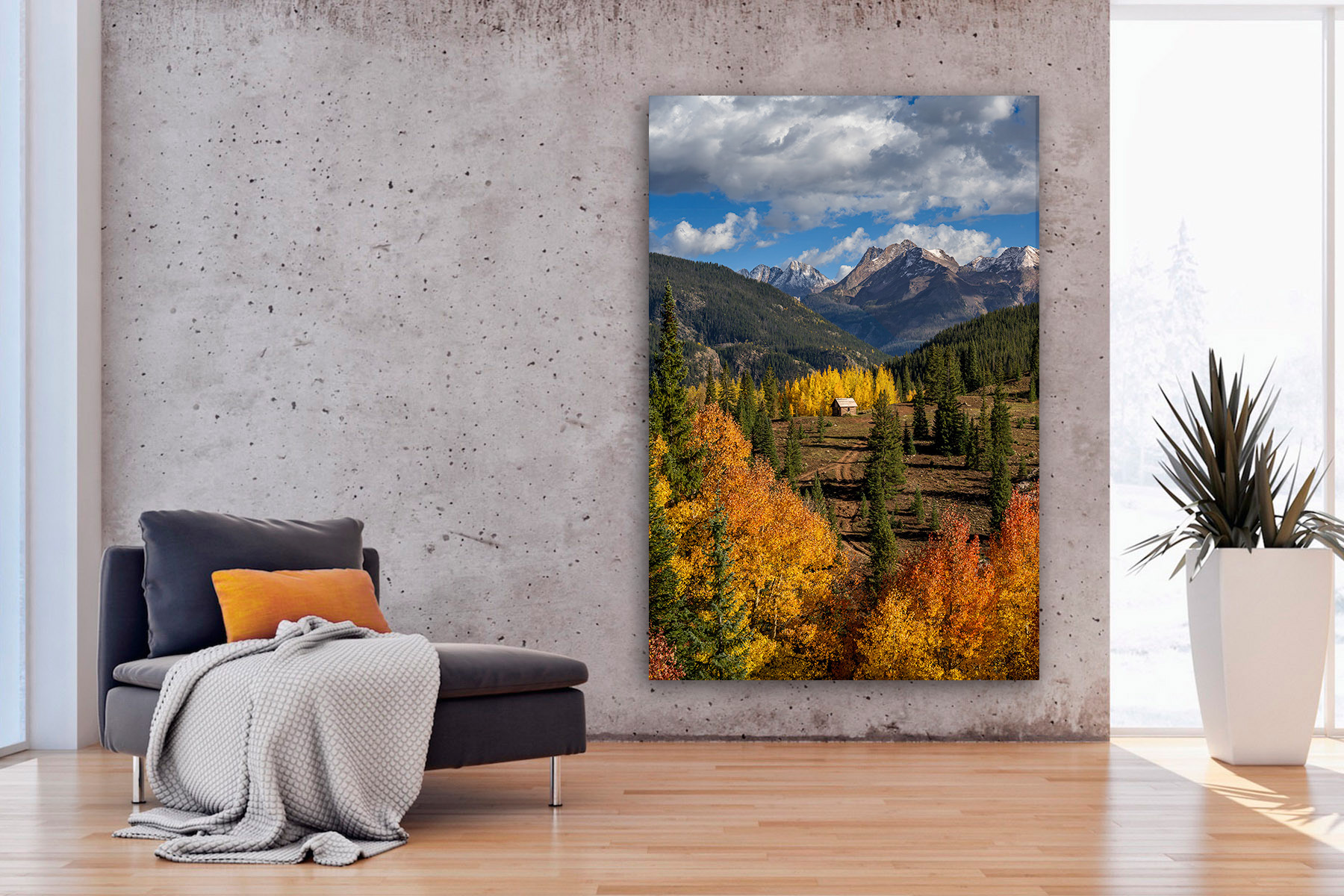 small cabin in colorado mountains as a print on a wall