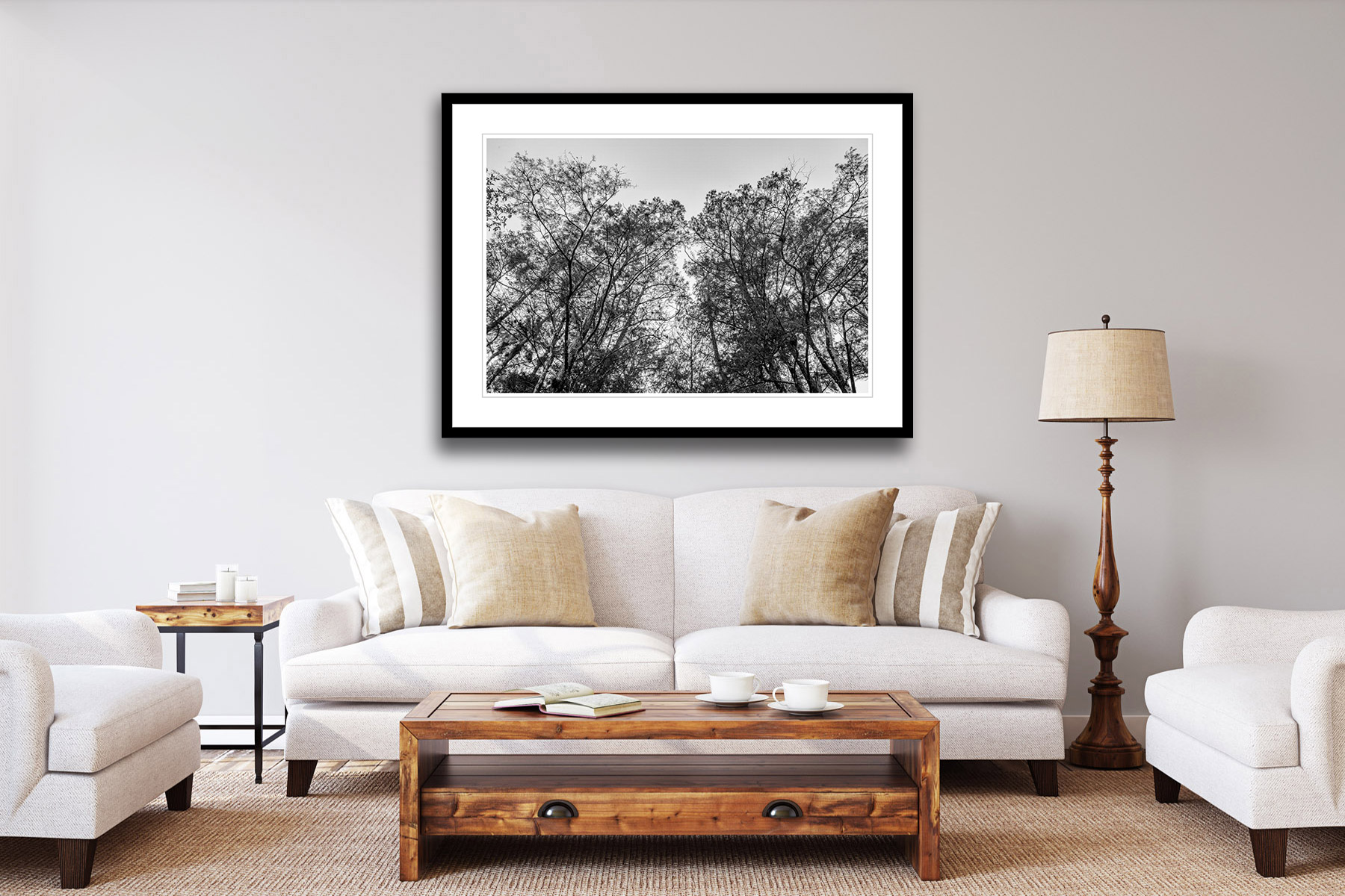 black and white view looking up at cypress trees as a print on a wall
