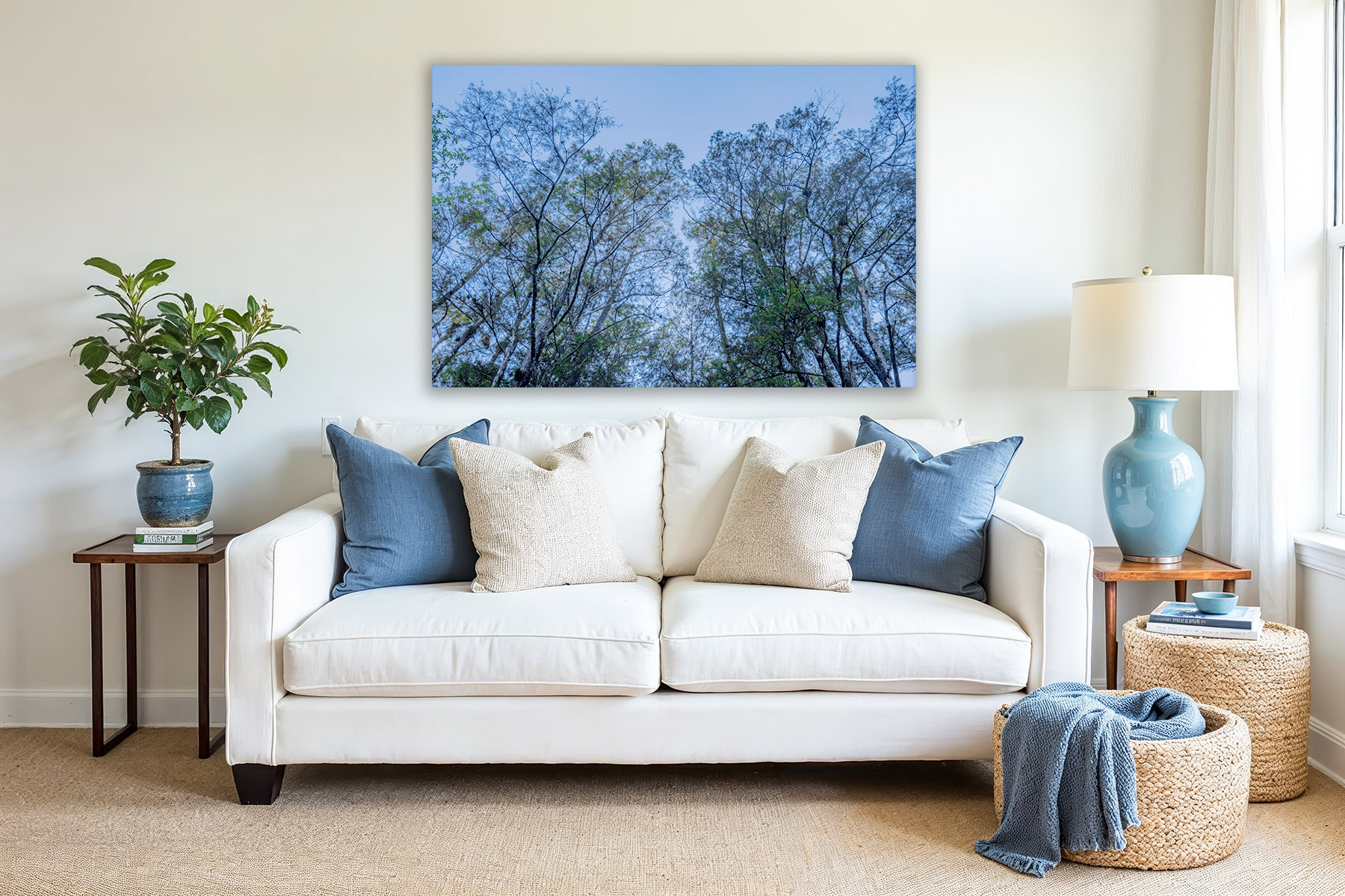 View looking up at cypress trees in everglades national park as a print on a wall