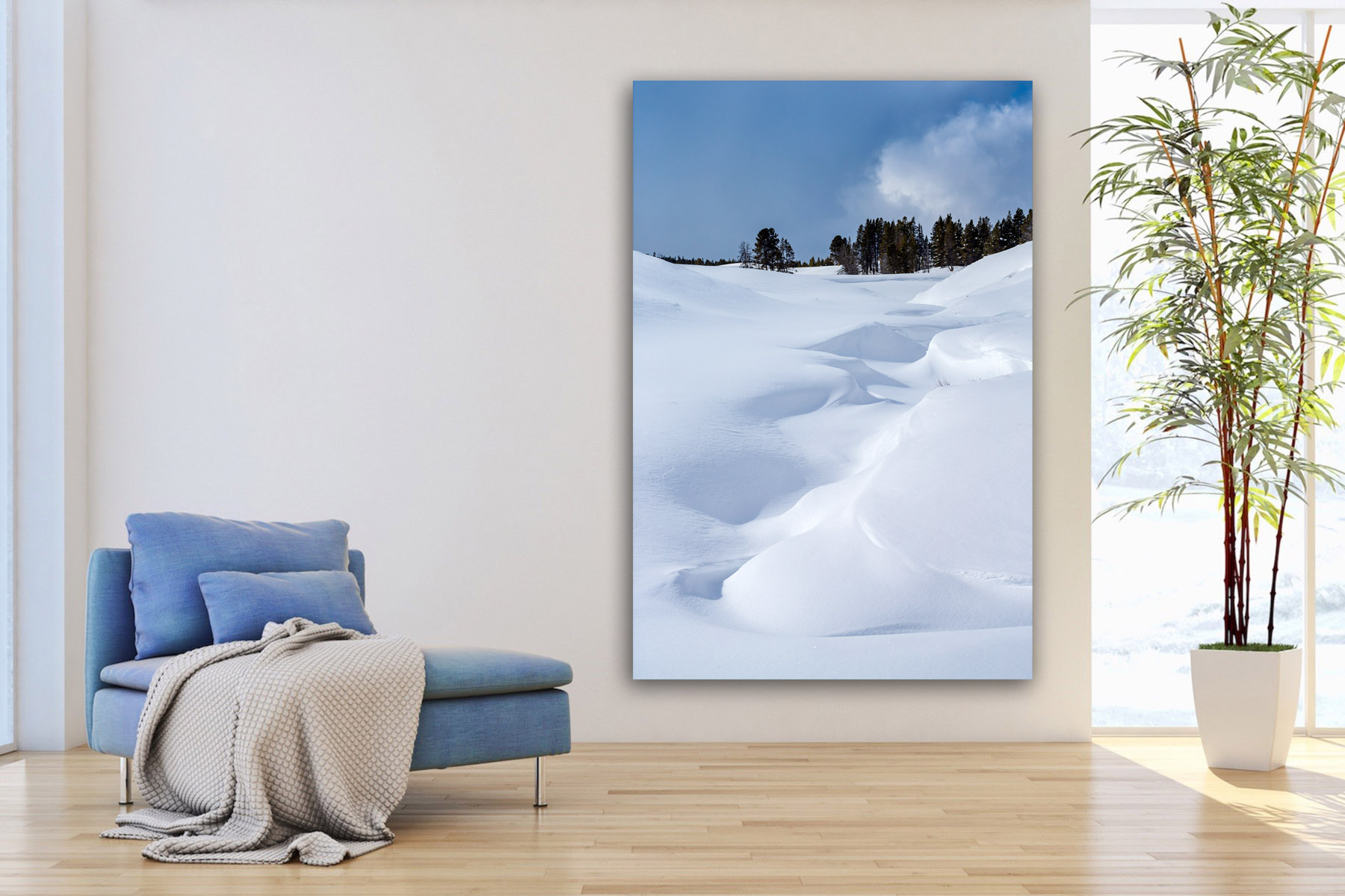 Shadows in the snow in Yellowstone as a fine art photo print on the wall