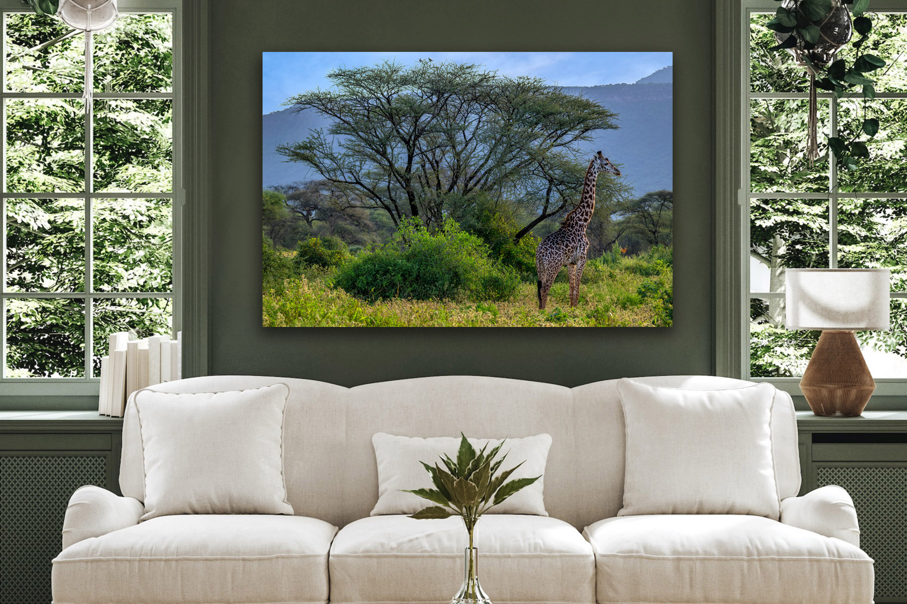 Giraffe by a tree as a fine art print on the wall