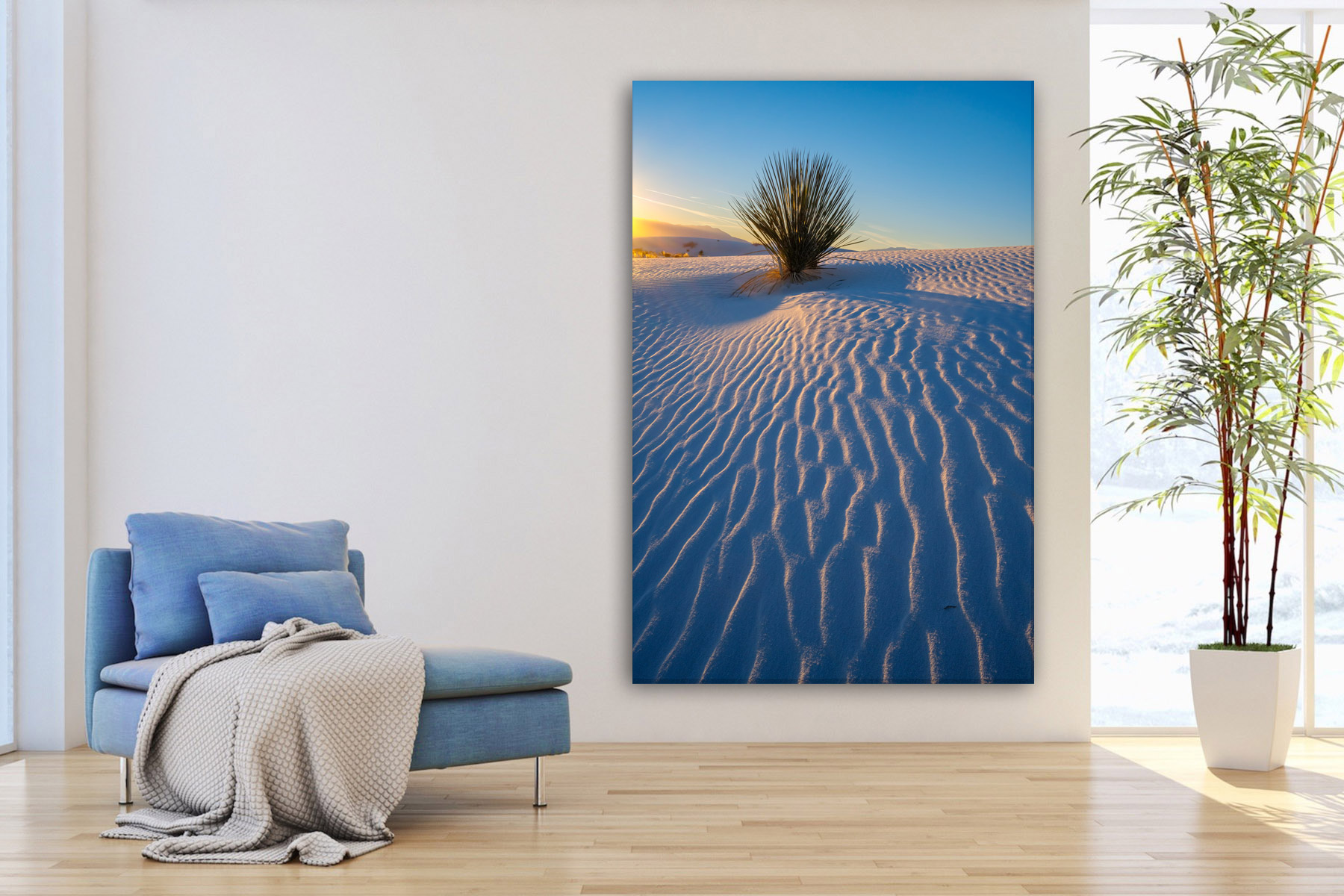 Lone plant on a dune at sunset at White Sands as a fine art photo print on the wall