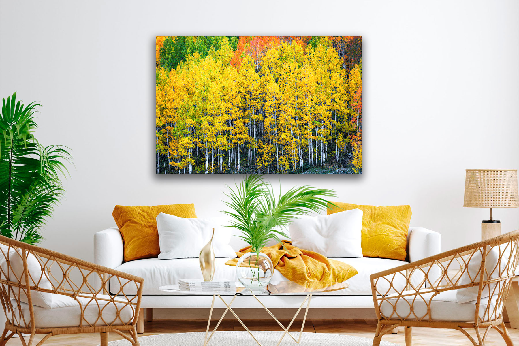 Fall Color landscape scene of tall aspen trees as wall art in a room