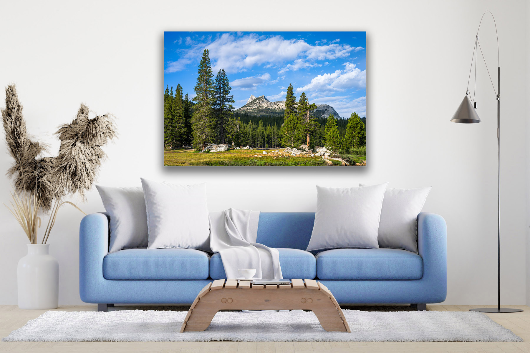 Tuolumne mountains and pine trees as a fine art photo print on the wall