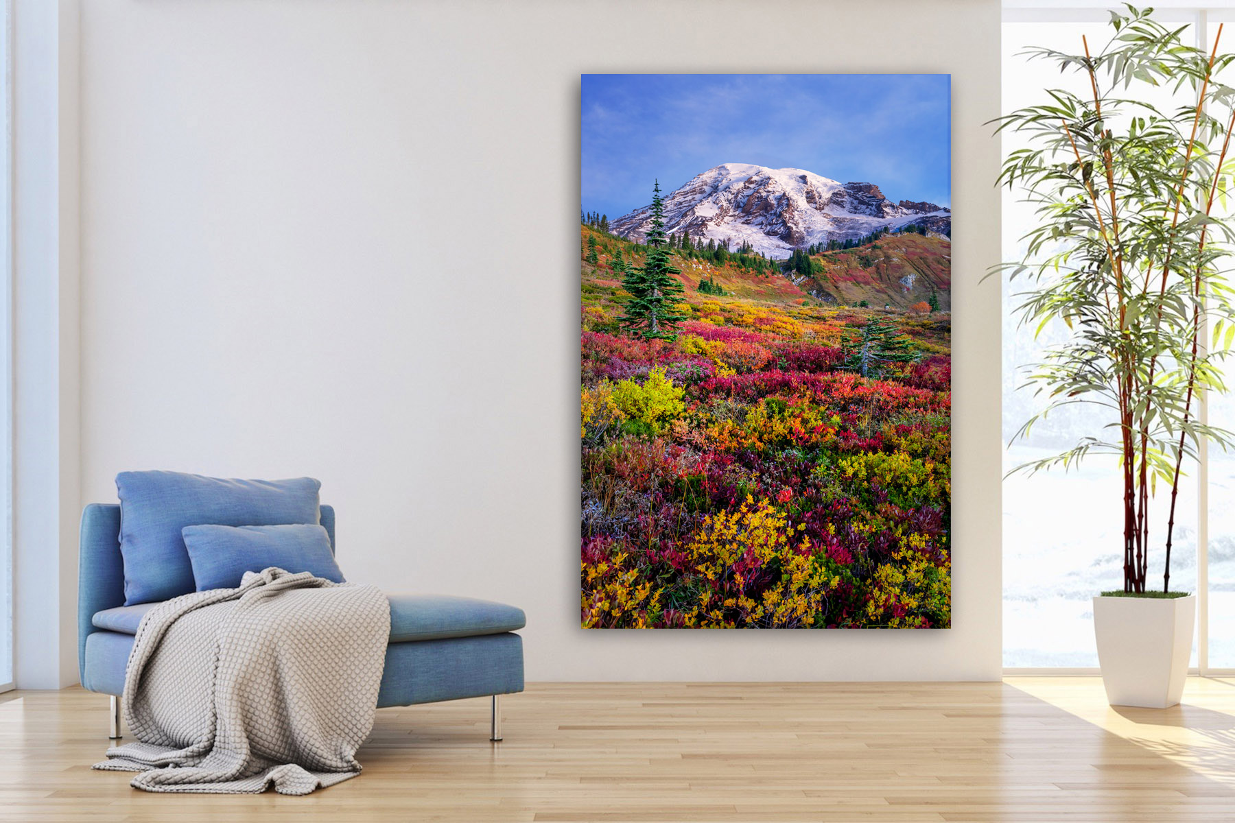 Vertical view of fall color at Mount Rainier as a fine art photo print on the wall