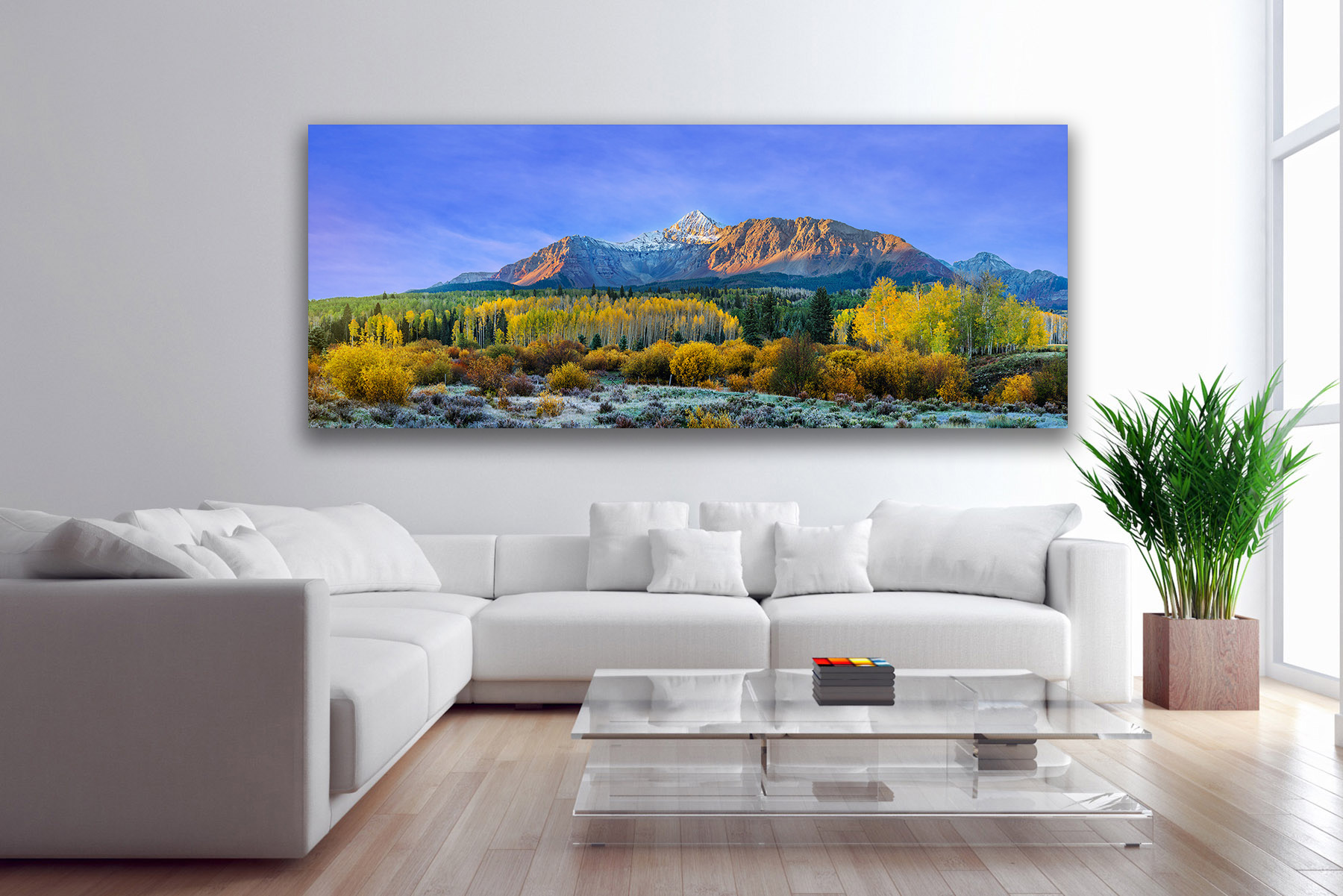 panoramic wall art of wilson peak colorado and fall colors