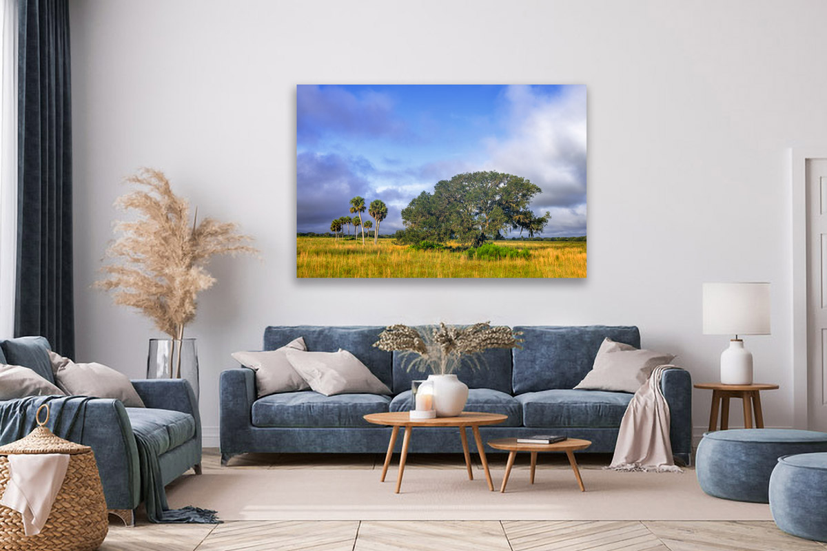 A Florida photography print on a wall over a sofa