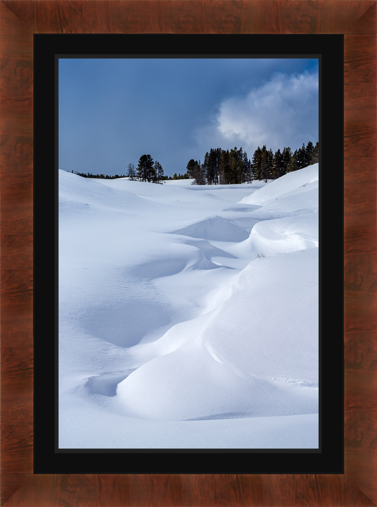 Lumachrome® HD Trulife® Acrylic Framed Print print preview